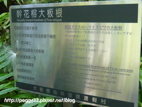 P1070919.JPG P1070919.JPG