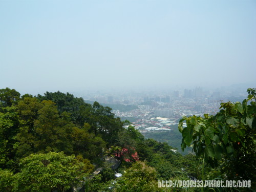 P1080023.JPG P1080023.JPG