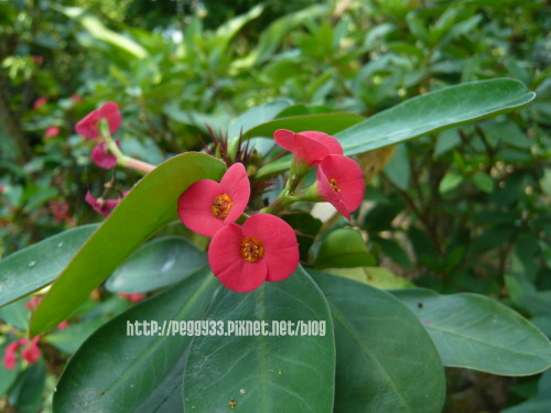 P1080033.JPG P1080033.JPG