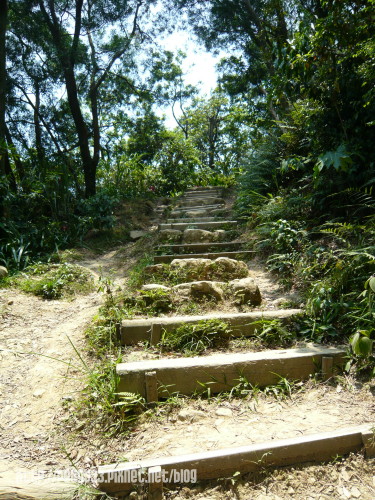 P1080026.JPG P1080026.JPG