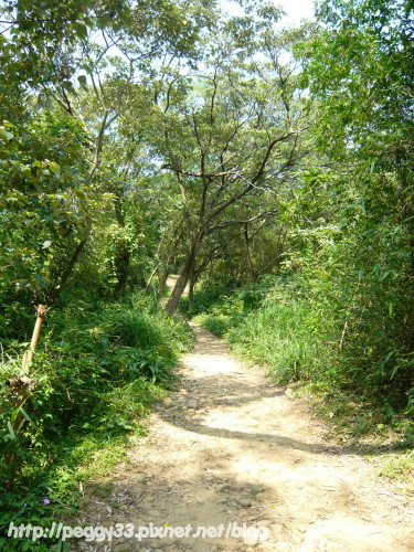 P1080093.JPG P1080093.JPG