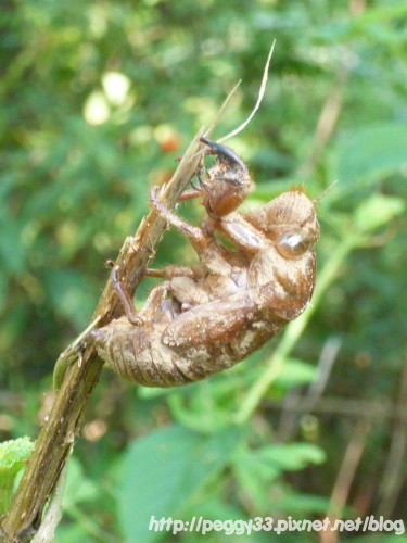 P1080094.JPG P1080094.JPG