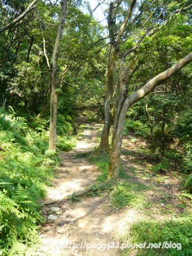 P1080100.JPG P1080100.JPG