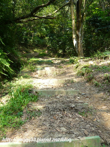 P1080101.JPG P1080101.JPG