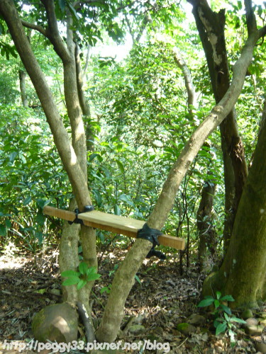 P1080107.JPG P1080107.JPG