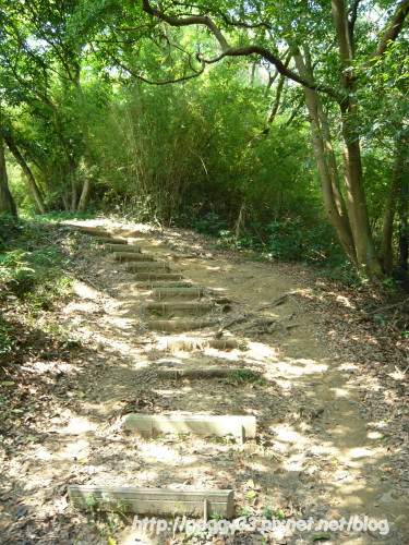 P1080112.JPG P1080112.JPG