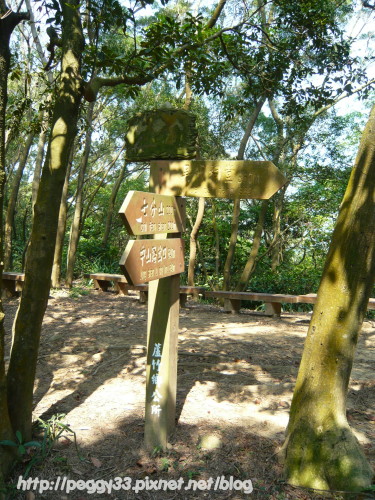 P1080128.JPG P1080128.JPG