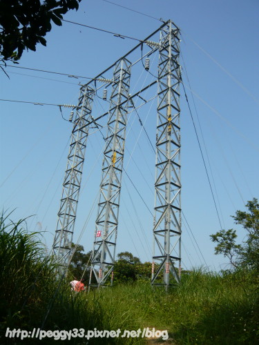 P1080145.JPG P1080145.JPG