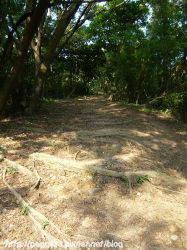 P1080150.JPG P1080150.JPG