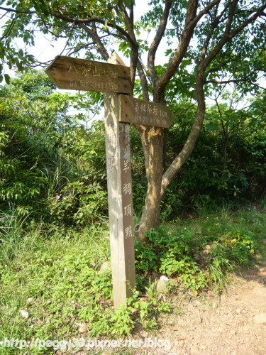 P1080159.JPG P1080159.JPG