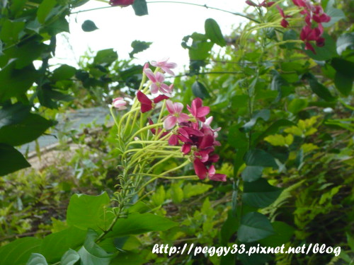 P1080432.JPG P1080432.JPG