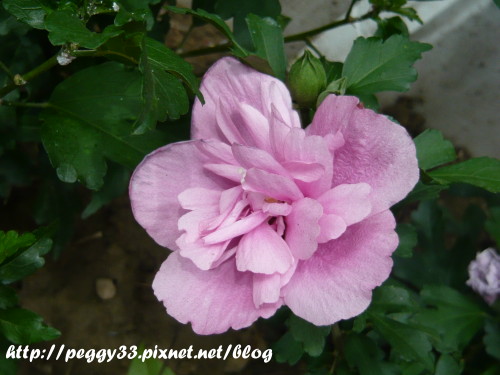 P1080446.JPG P1080446.JPG