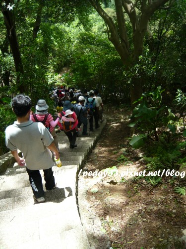 P1080471.JPG P1080471.JPG