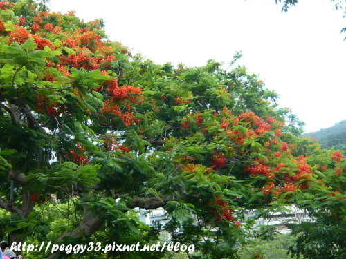 P1080478.JPG P1080478.JPG