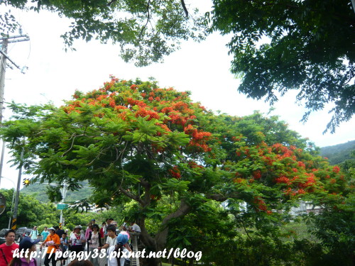 P1080479.JPG P1080479.JPG