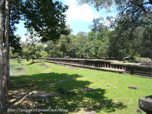 P1090117.JPG P1090117.JPG