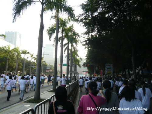 P1100933.jpg P1100933.jpg