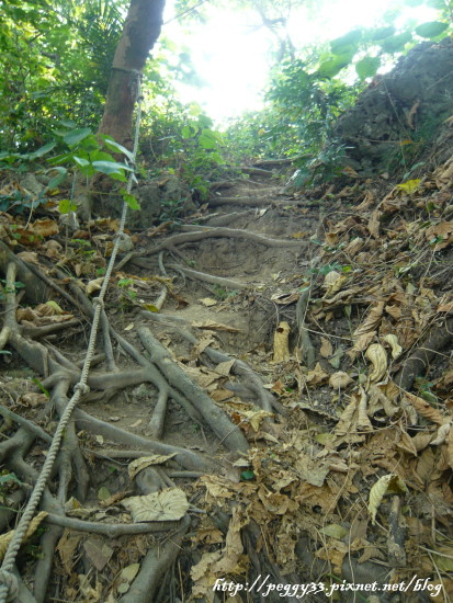 P1130010.JPG P1130010.JPG