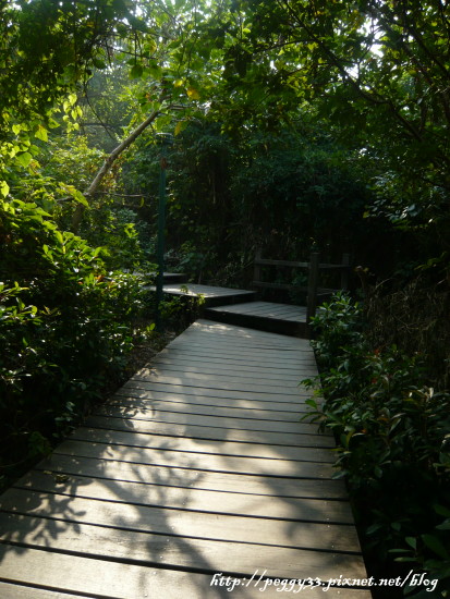 P1130013.JPG P1130013.JPG