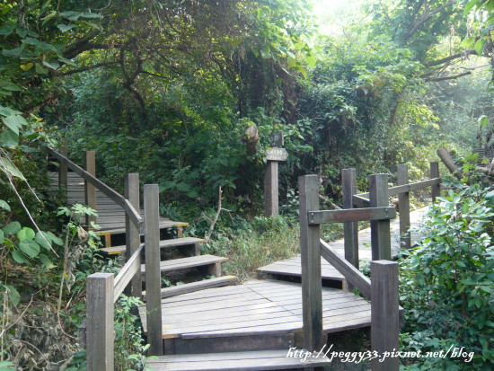 P1130014.JPG P1130014.JPG