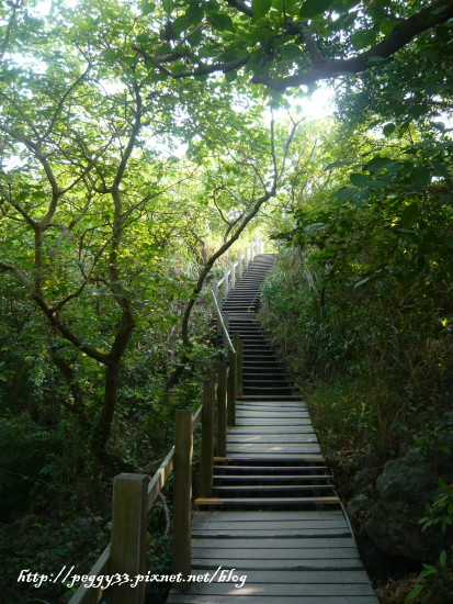 P1130016.JPG P1130016.JPG