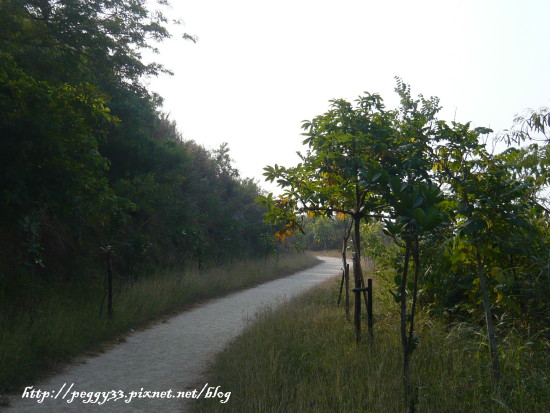 P1130028.JPG P1130028.JPG