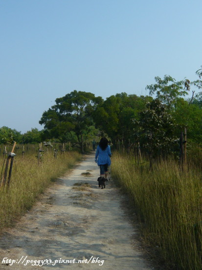 P1130047.JPG P1130047.JPG