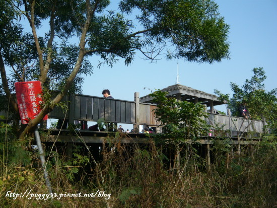 P1130050.JPG P1130050.JPG