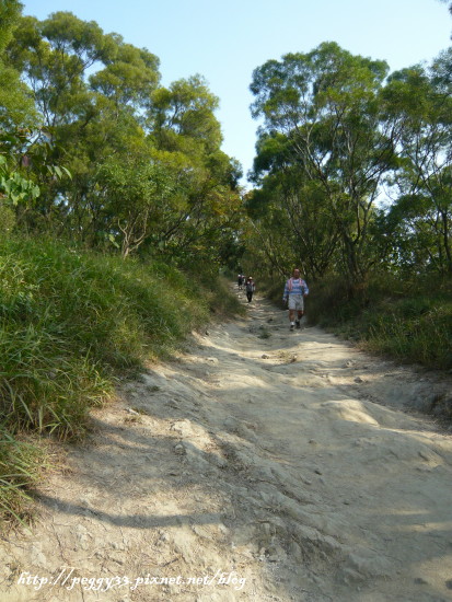 P1130068.JPG P1130068.JPG