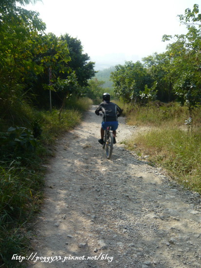 P1130070.JPG P1130070.JPG