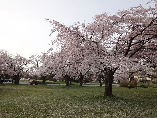 DSC00191.JPG DSC00191.JPG