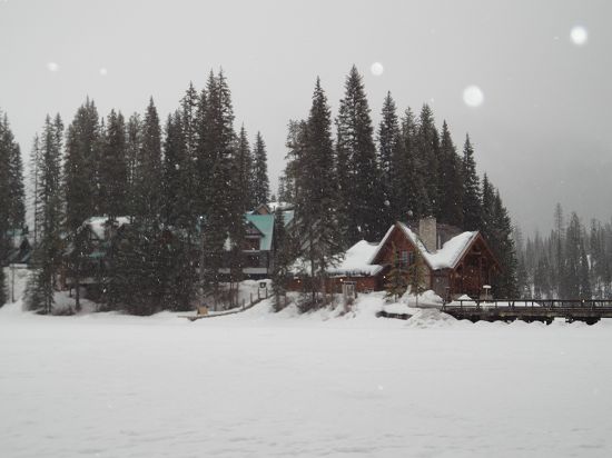 DSC00730.JPG DSC00730.JPG