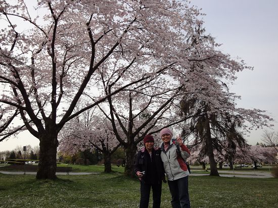 DSC00203_nEO_IMG.jpg DSC00203_nEO_IMG.jpg