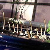 75914_710842118930213_740516926_n