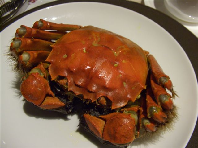 去年吃過滬江的大閘蟹餐覺得蠻好