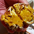 鹽焗奄仔蟹 - 滿滿的蟹黃 鹽焗奄仔蟹 - 滿滿的蟹黃