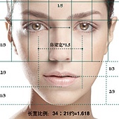 正面分析 正面分析