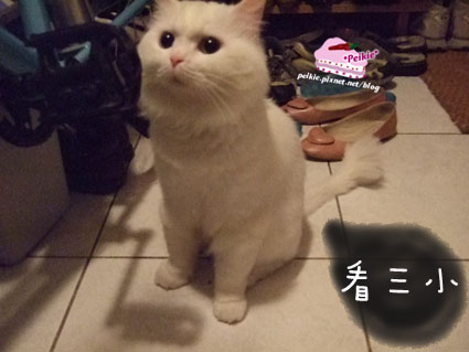看三小.jpg 看三小.jpg