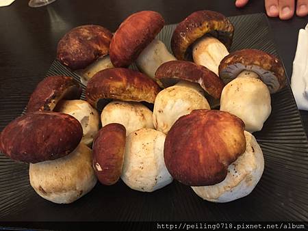 生鮮義大利 porcini 牛肝菌
