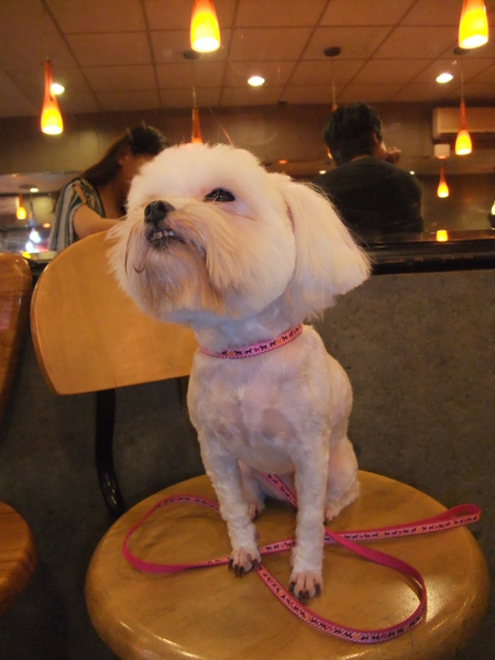 新造型 好害羞喔