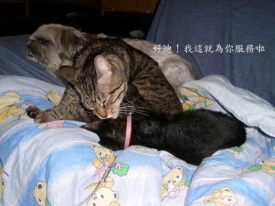 2005113004.jpg