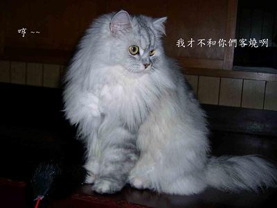 2005113005.JPG