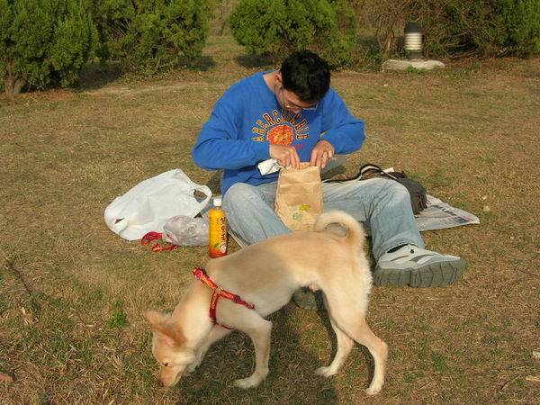 美術館野餐