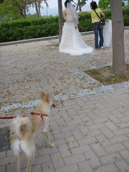美術館1