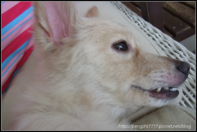DSCF2786.JPG