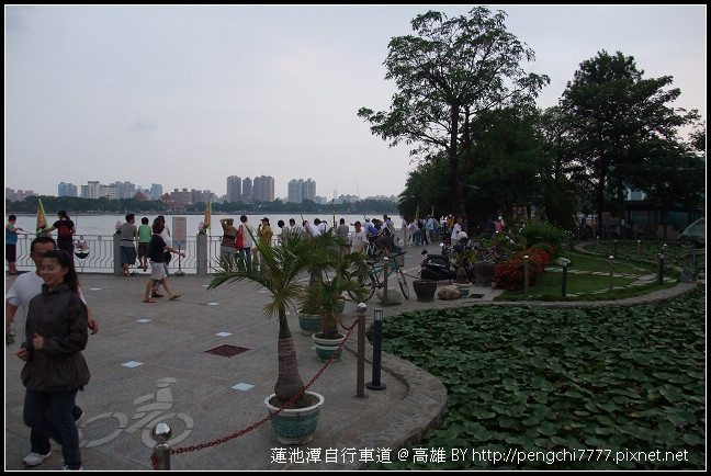蓮池潭-9
