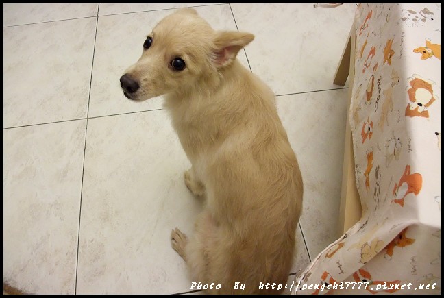 DSCF3293.JPG