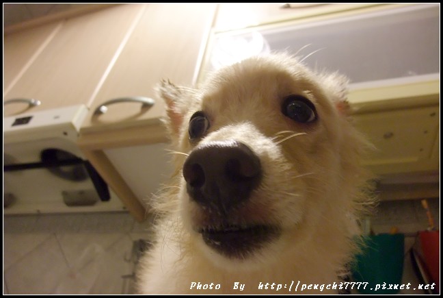 DSCF3303.JPG