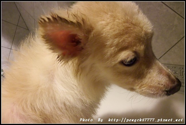 DSCF3310.JPG
