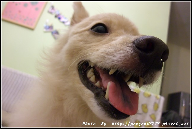 DSCF3330.JPG